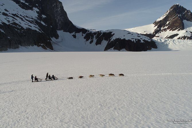 Juneau Helicopter and Dogsledding with Added Glacier Landing - Key Points