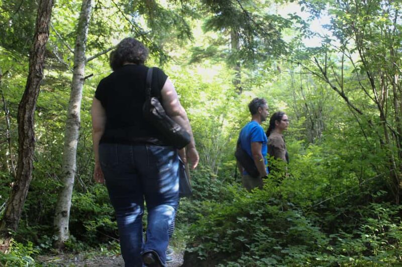 Juneau: Mindfulness in the Wilderness - Juneau: Mindfulness in the Wilderness — A Calm Escape into Alaska’s Natural Beauty