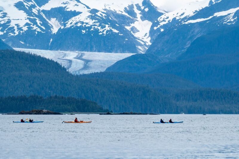 Juneau: Paddle with Whales Kayak Adventure - The Sum Up