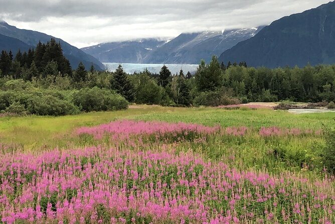 Juneau Private 3 Hour Scenic Road Trip - The Value of a Private, Small-Group Tour