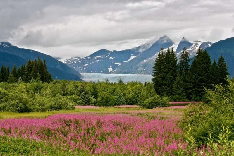 Juneau: Private Bike Tour with Glacier Views & Hatchery Stop - Exploring Juneau on Two Wheels — A Detailed Overview