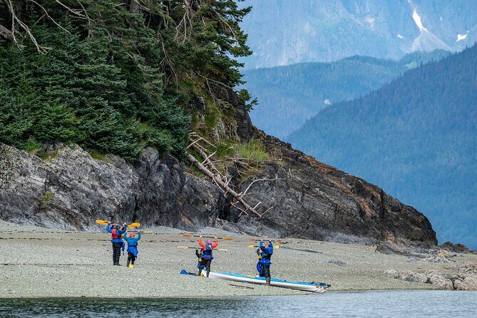 Juneau Shore Excursion: Paddle with Whales Kayak Adventure - An In-Depth Look at the Experience