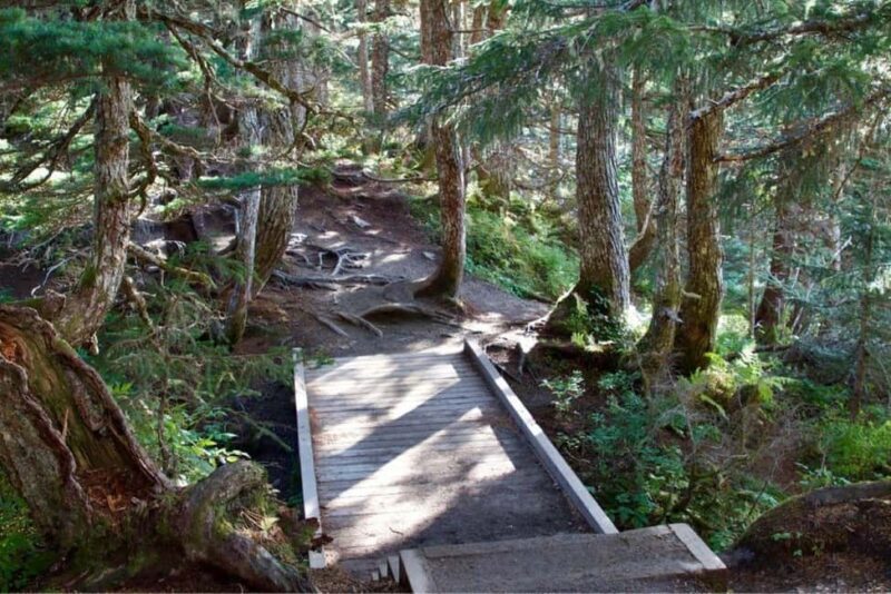 Juneau: Tram, Trails and Ale Tour - Detailed Review: Exploring Juneau with Tram, Trails, and Ale