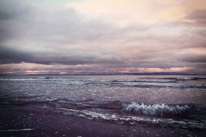 Juneau Wildlife Whale Watching - Who Will Enjoy This Tour?