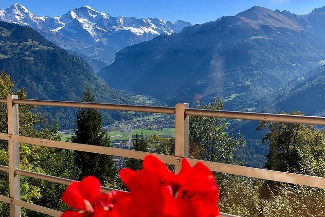 Jungfraujoch (Private Tour) - An In-Depth Look at the Jungfraujoch Private Tour