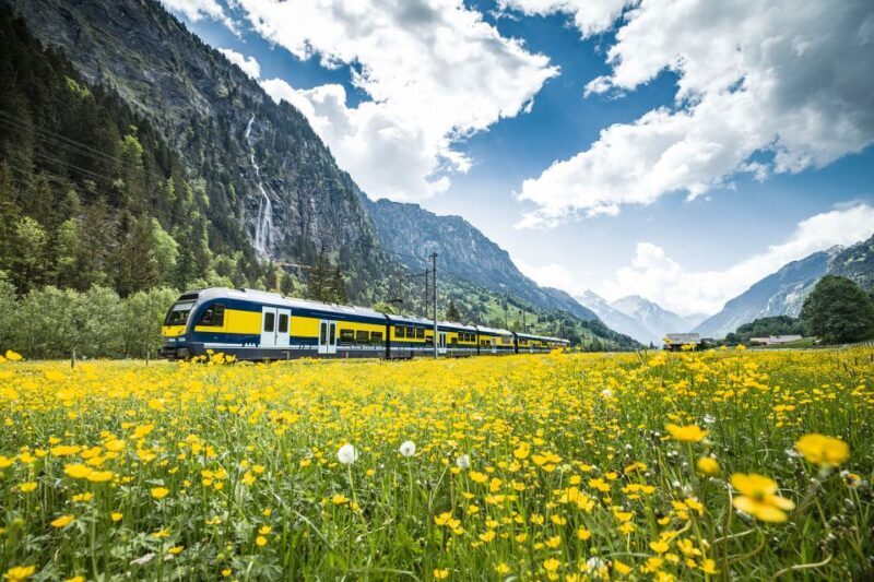 Jungfraujoch: Roundtrip to the Top of Europe by Train - Authentic Experiences and Practical Tips
