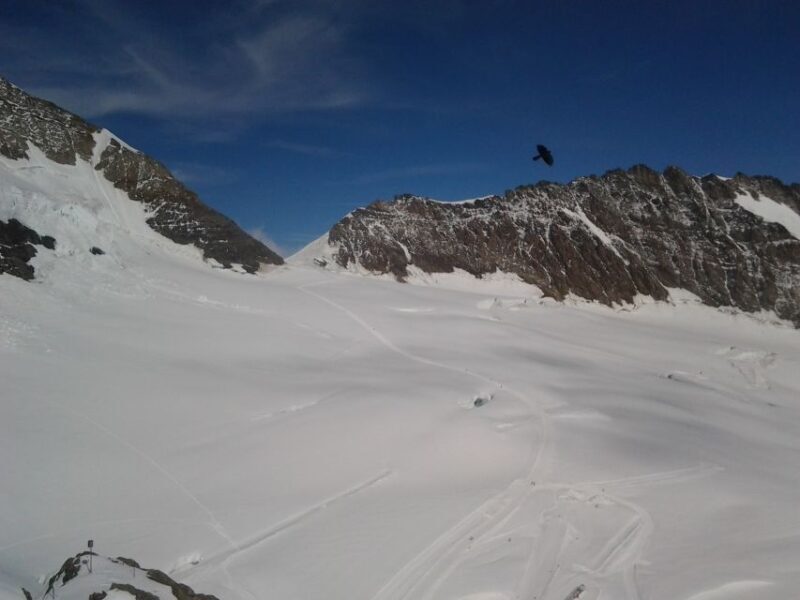 Jungfraujoch Top of Europe Private Day Trip from Basel - FAQs