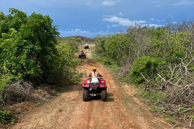Jungle and beach ATV tour + lunch + tequila tasting - Exploring Mazatlan’s Jungle and Beach on ATVs