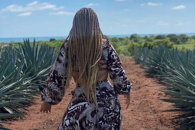 Jungle and beach ATV tour + lunch + tequila tasting - FAQ