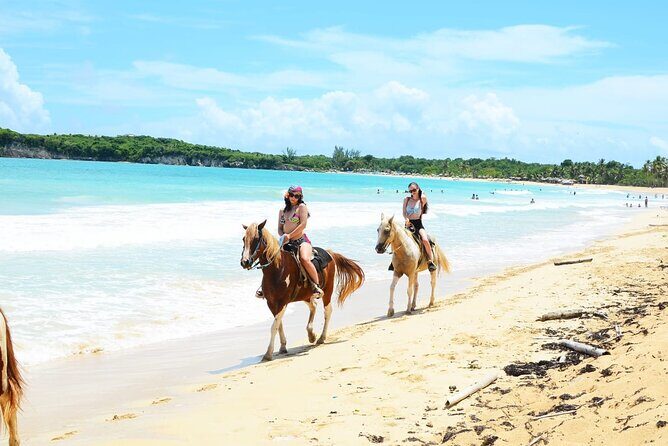 Jungle and Beach Horse Ridding round trip transportatin. - Final Thoughts