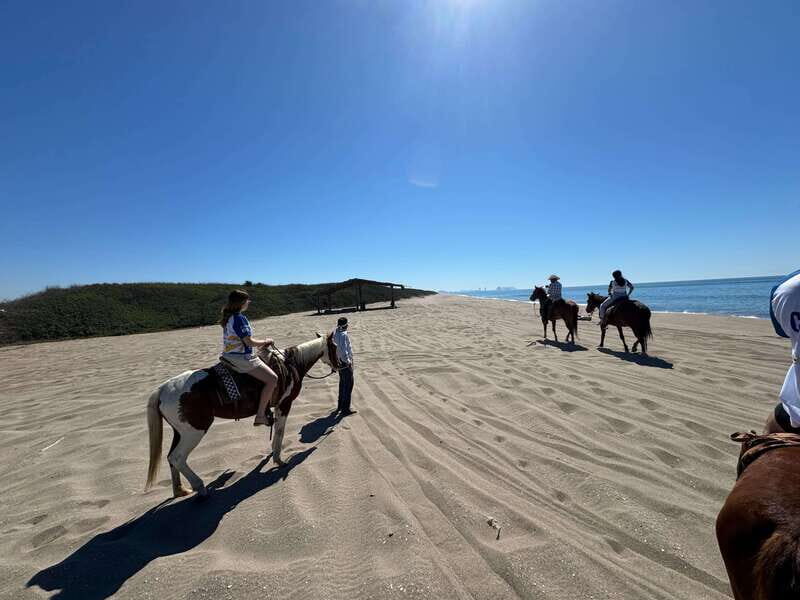 Jungle and beach horseback ride + lunch + mezcal - A Detailed Look at the Experience