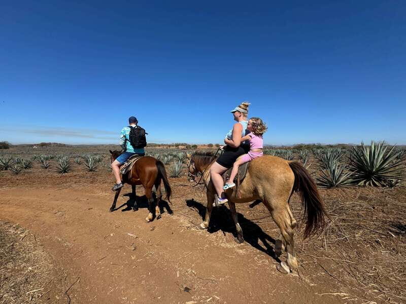 Jungle and beach horseback ride + lunch + mezcal - Frequently Asked Questions