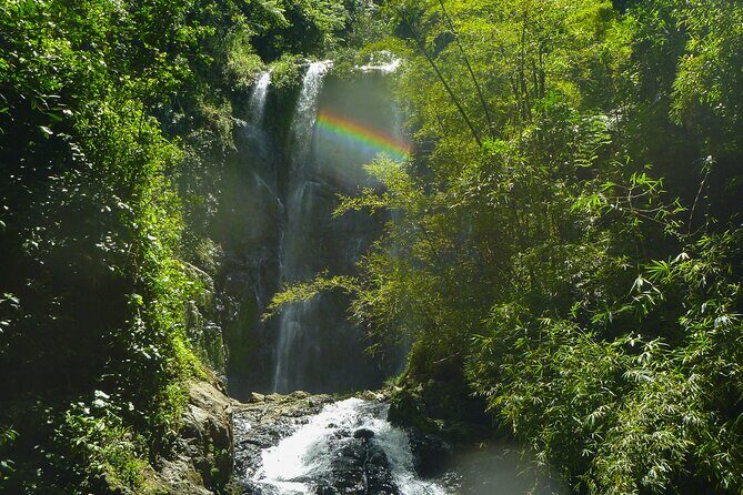 Jungle and Waterfall Adventure - Jungle and Waterfall Adventure: A Nature Lover’s Delight in Puerto Rico