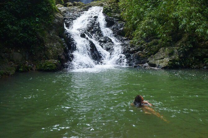 Jungle and Waterfall Adventure - Exploring Puerto Rico’s Rainforest and Waterfall: What to Expect