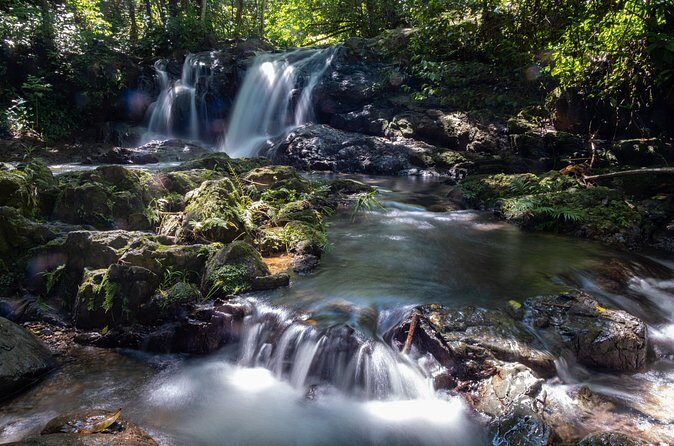 Jungle and Waterfall Adventure - Wrapping It Up