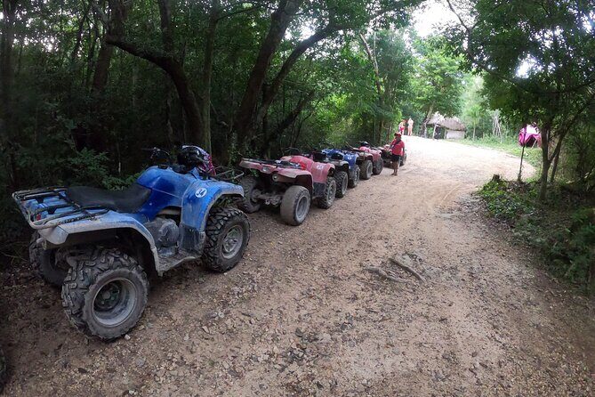 Jungle ATV Adventure: Unveiling Akumal's Enchanting Cenotes - Exploring the Itinerary in Detail