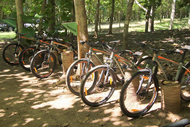 Jungle Bike Tour - Key Points