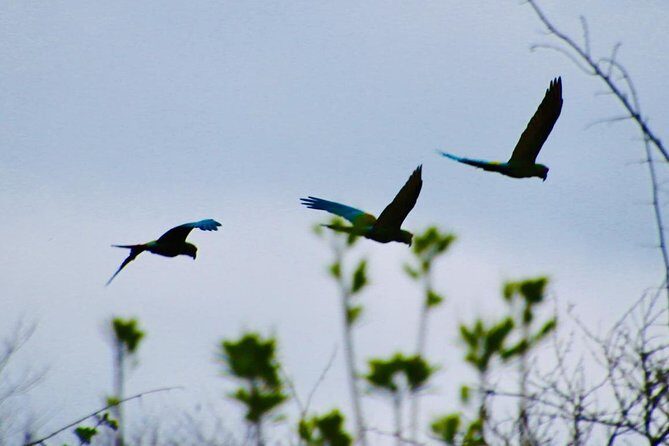 Jungle Bike Tour - Final Thoughts: Is It Worth It?