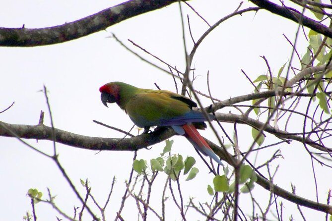 Jungle Bike Tour - FAQ