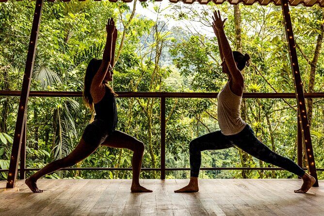 Jungle Bliss: Yoga, Waterfalls, and Blue Clay Experience w/Lunch - Key Points