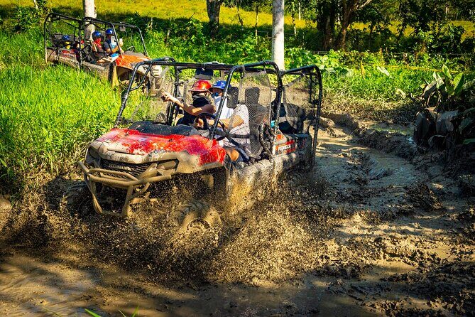 Jungle Buggies and Monkeyland from Punta Cana - Introduction: What Is the Jungle Buggies and Monkeyland Tour?
