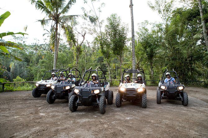 Jungle Buggy Adventure and Ubud Tour - The Complete Experience of Jungle Buggy Adventure and Ubud Tour
