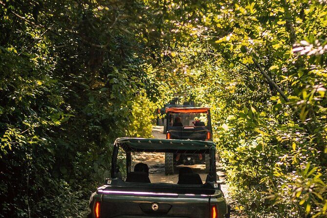 Jungle Buggy Day Tour - What’s in the Itinerary?