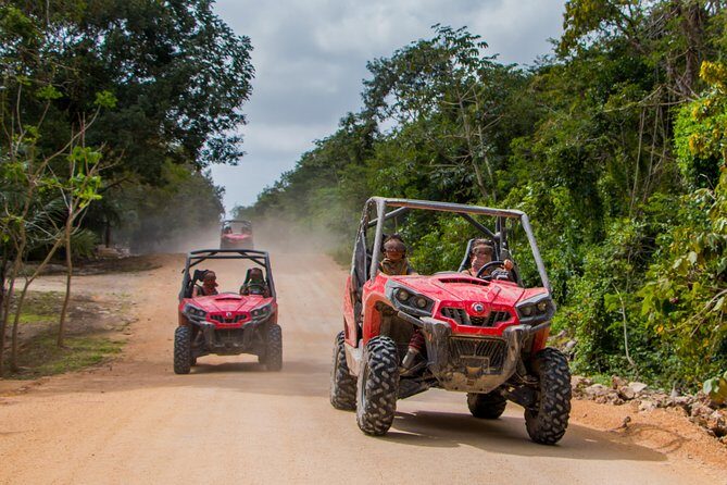 Jungle Buggy Tour from Playa del Carmen Including Cenote Swim - The Itinerary: What to Expect and What Not to Miss