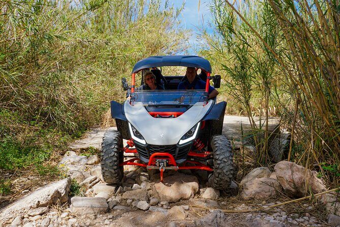 Jungle Buggy Tour in Benidorm - Why This Tour Offers Real Value