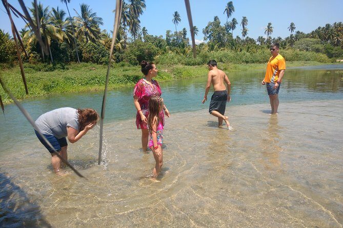 Jungle Coyuca Lagoon Boat Ride Experience & Baby Turtle Release - A Closer Look at the Coyuca Lagoon & Turtle Release Tour