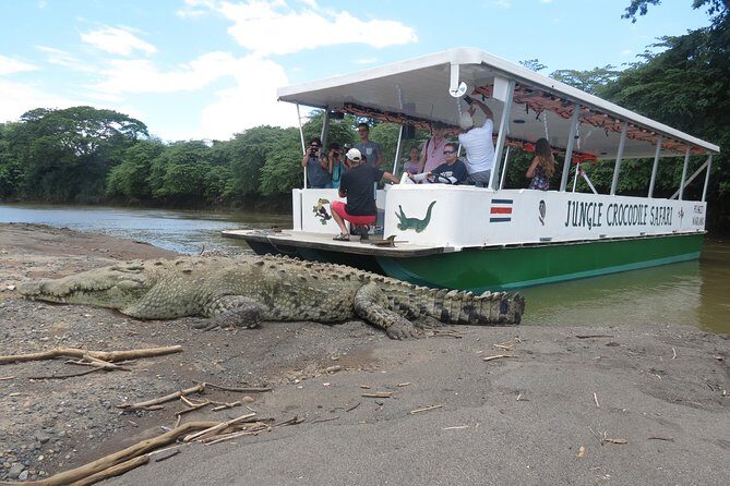 Jungle Crocodile Safari and Bird Watching tour/Tarcoles River CR - Engaging Introduction: Exploring Costa Rica’s Wildlife on the Tarcoles River