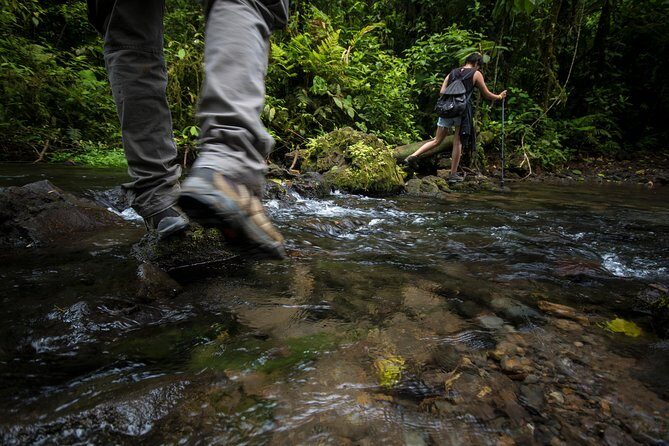 Jungle Expedition through The Childrens Eternal Rainforest - Exploring the Itinerary in Detail
