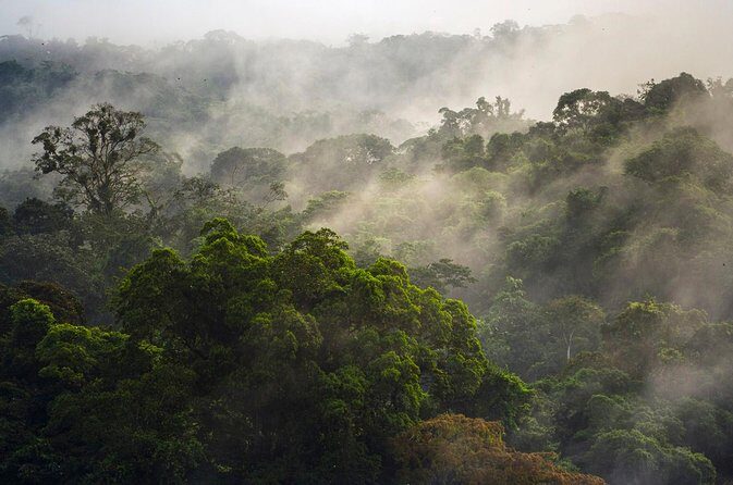 Jungle Expedition through The Childrens Eternal Rainforest - Price and Value: Is It Worth It?