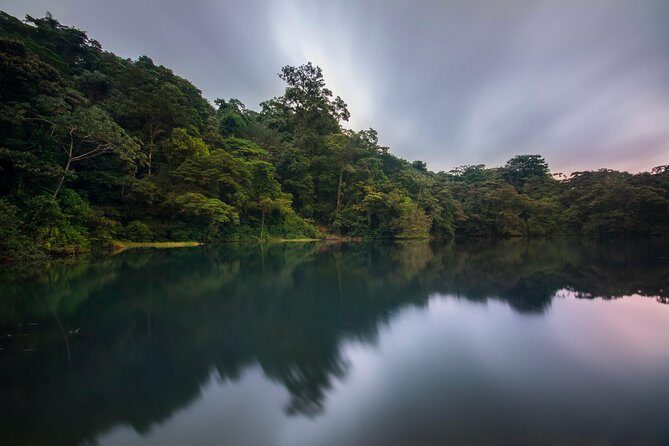 Jungle Expedition through The Childrens Eternal Rainforest - FAQ