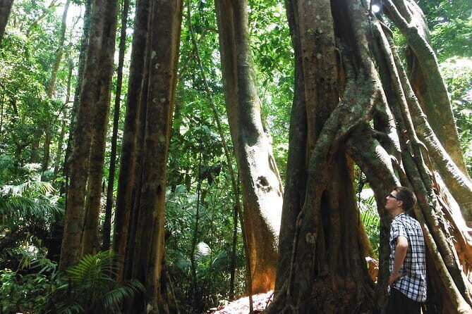 Jungle Experience: 1 Day Trek in Nam Ha NPA - What Makes This Tour Stand Out?