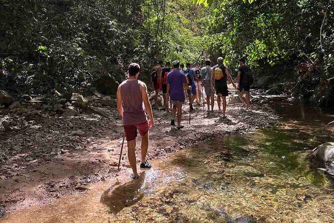 Jungle Hiking Adventure and Waterfall Swim. Nogalito Ecopark - Key Points