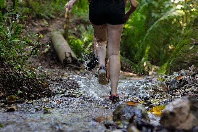 Jungle Hiking Adventure and Waterfall Swim. Nogalito Ecopark - A Deep Dive into Nogalito Ecopark’s Jungle Hiking Adventure