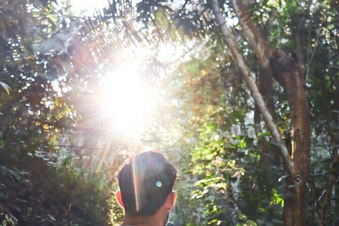 Jungle Hiking Adventure and Waterfall Swim. Nogalito Ecopark - Final Thoughts: Why Choose This Tour?
