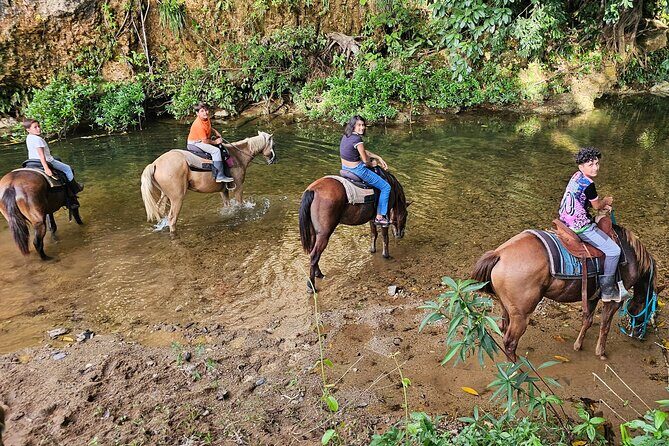 Jungle Horseback & Cave Tube Adventure - Key Points