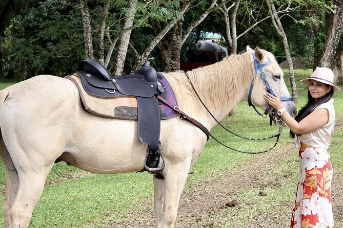 Jungle Horseback & Cave Tube Adventure - A Closer Look at the Experience