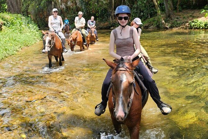 Jungle Horseback Riding with Lunch - Key Points
