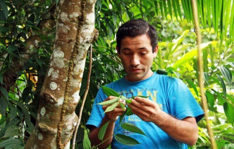 Jungle Iquitos 3D |boating+Piranha fishing+night excursion| - Key Points