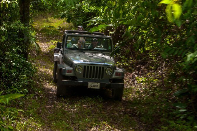 Jungle Jeep Adventure from Belize City - A Deep Dive into the Jungle Jeep Adventure