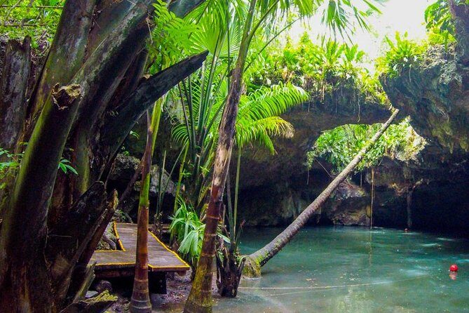 Jungle Jeep Adventure to Mayan Caves, Cenote and Snorkel - What the Reviews Say