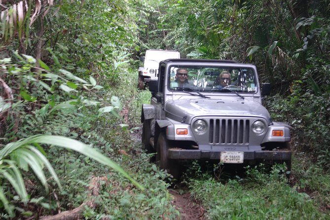 Jungle Jeep and Altun Ha Tour - Jungle Jeep and Altun Ha Tour: An Authentic Belize Adventure