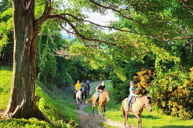 JUNGLE/ MOUTAIN AND BEACH TOUR HORSEBACK RIDING - 2h 1/2 - A Deep Dive into the Horseback Adventure in Sámara