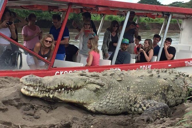 Jungle & River Buggy & Crocodile tour. Puntarenas shore excursion - In-Depth Look at the Tour Experience