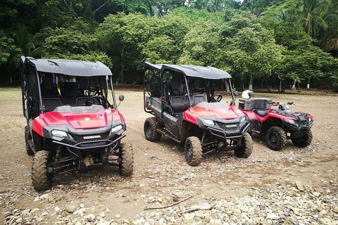 Jungle & River BUGGY Exploration. Private Tour - Key Points