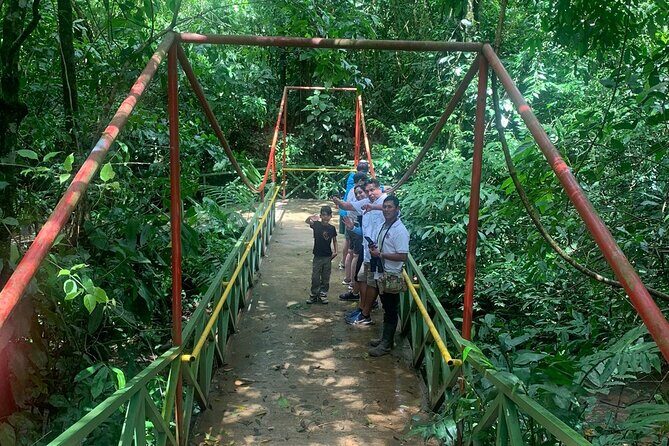Jungle River, Sloth Sanctuary and Poisonous Frogs. - Final Thoughts: Is This the Right Tour for You?