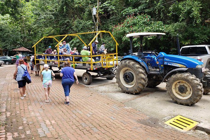 Jungle & River Wagon Expedition. Puntarenas Shore Excursions - Final Thoughts